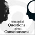 Primordial Questions about Consciousness